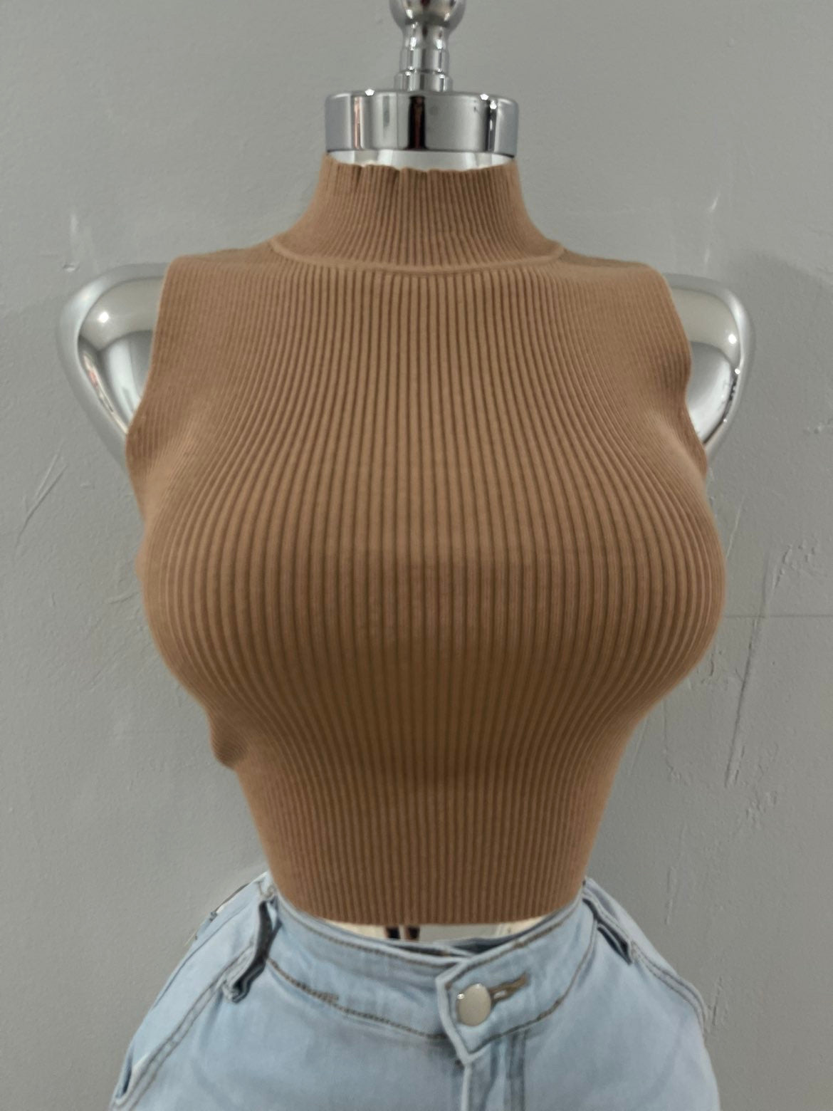 Evelyn Nude Turtle Neck Top