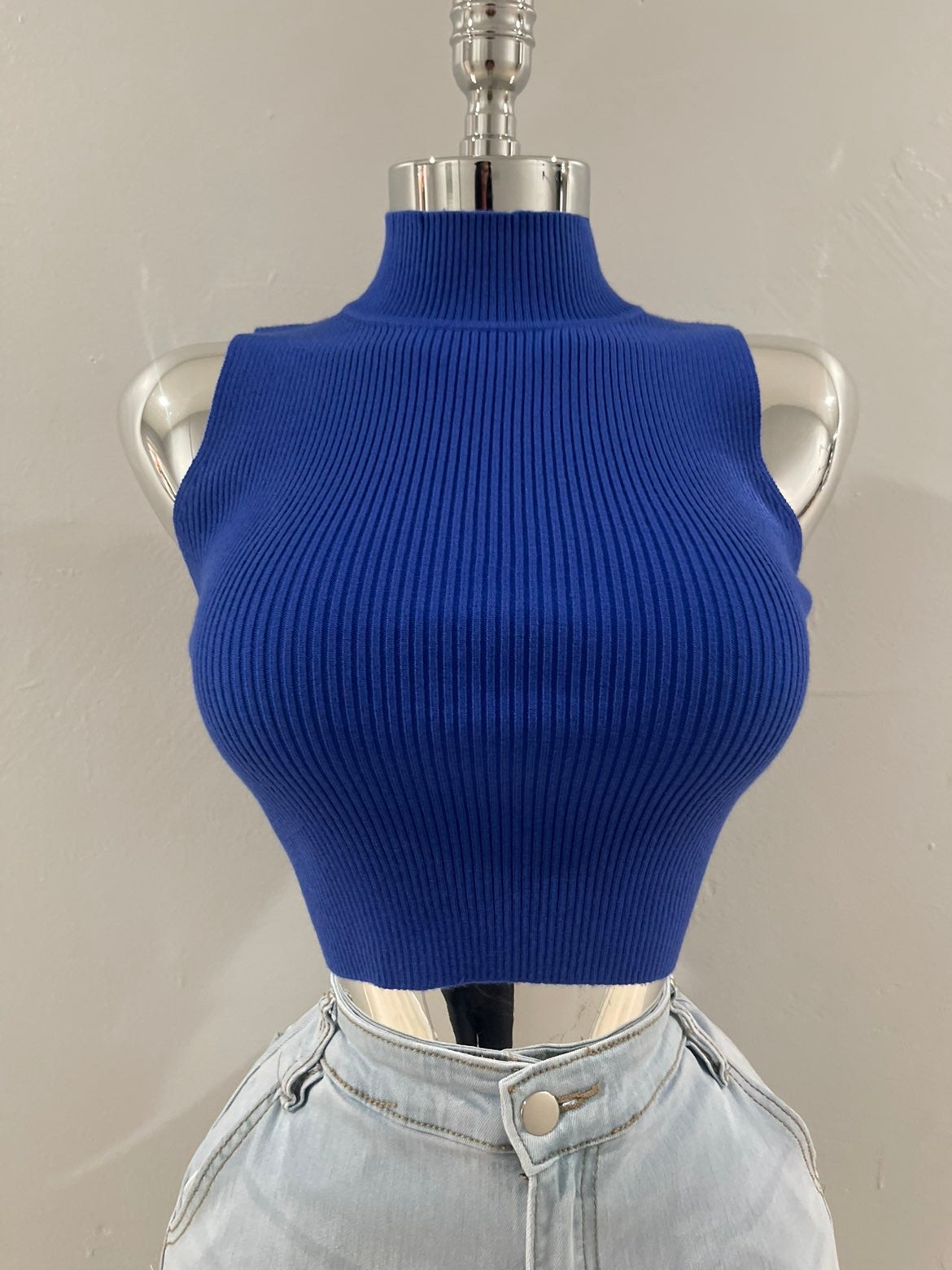 Evelyn Blue Turtle Neck